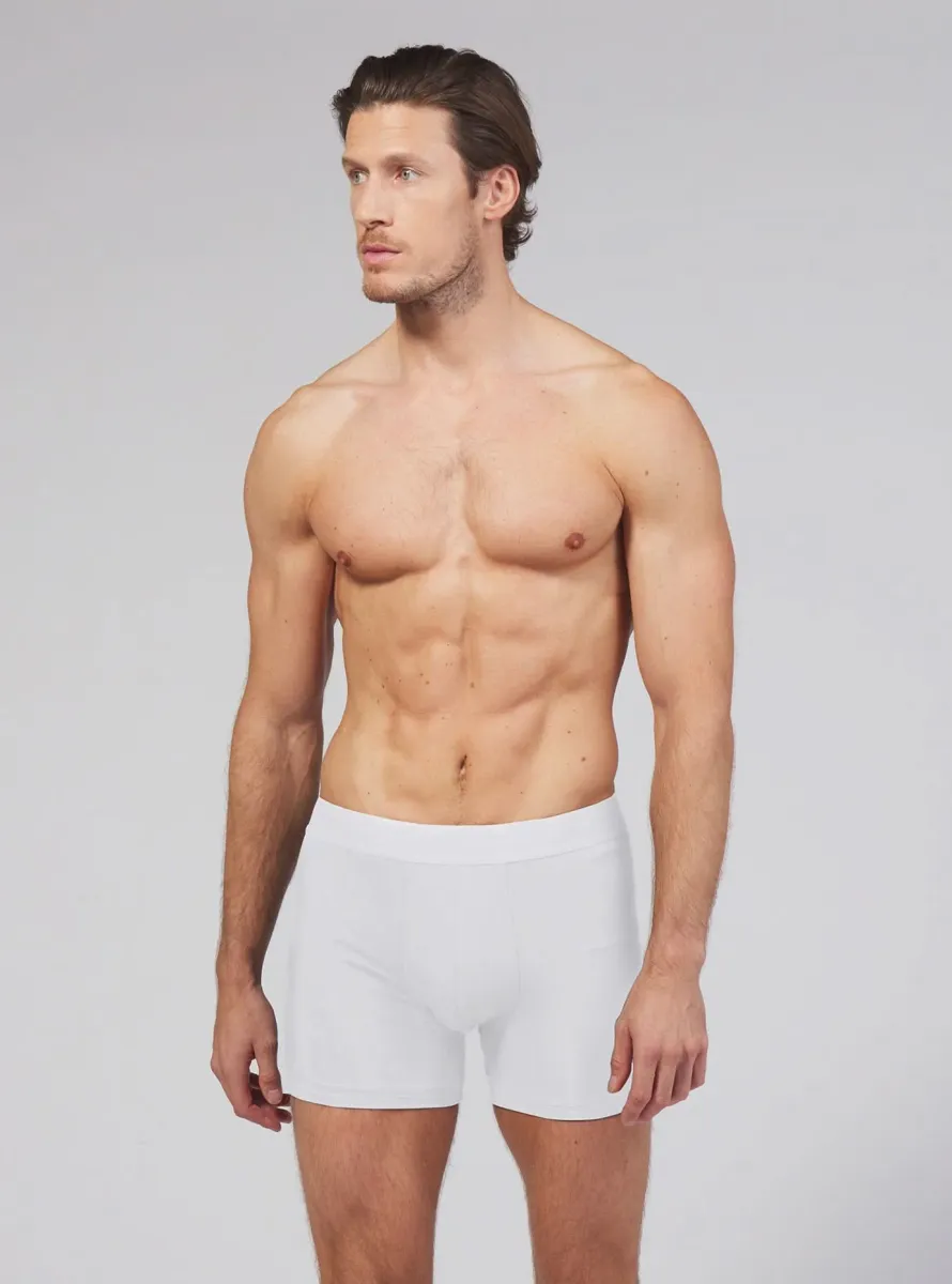 Allwear Bamboo Boxer Brief 3
