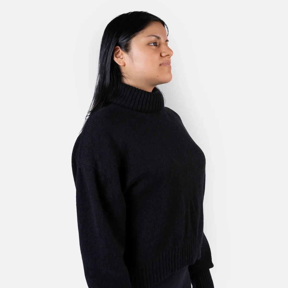 Women's Alpaca Wool Turtleneck Sweater 2