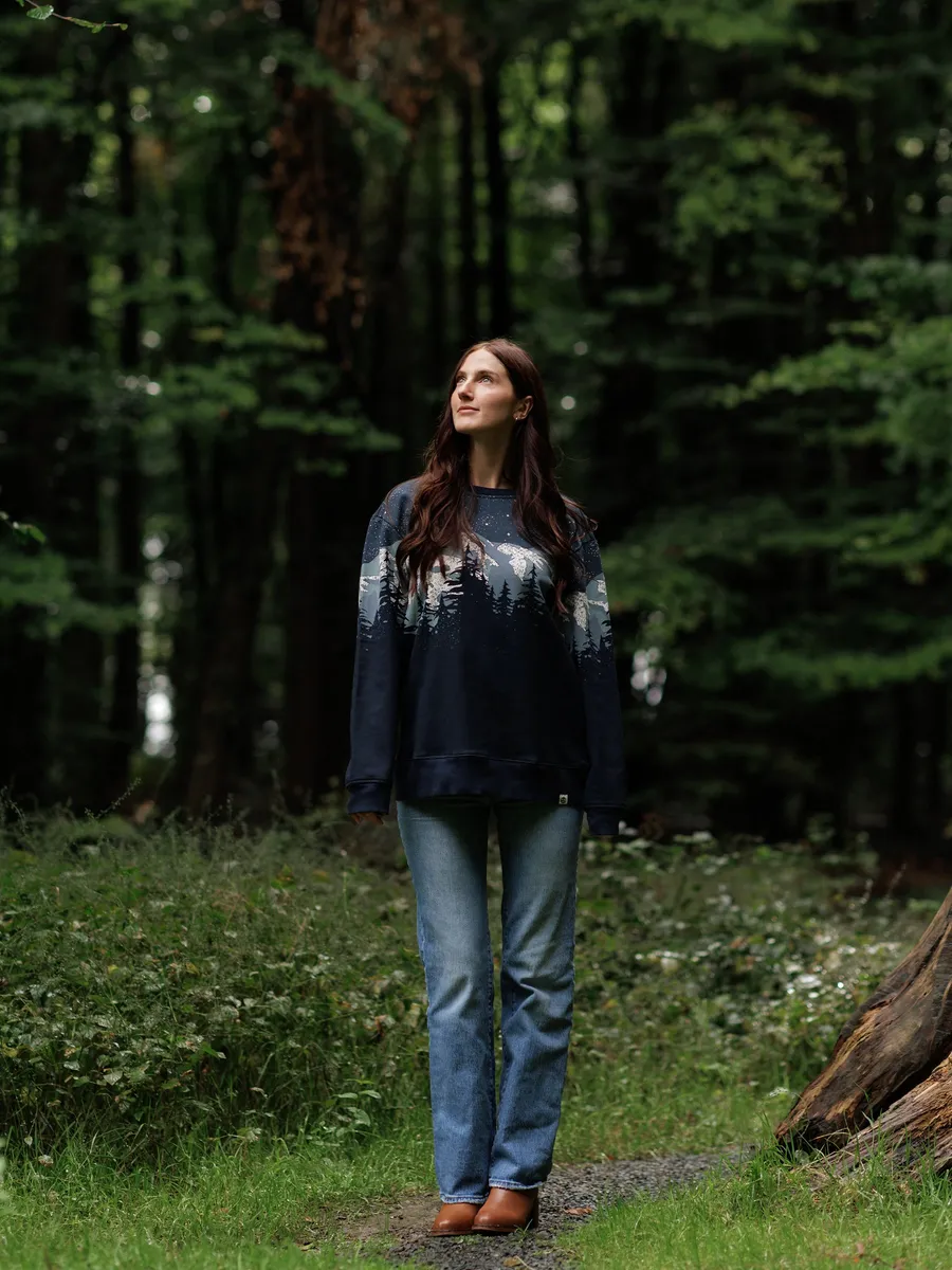 Cascadian Night Pullover 2
