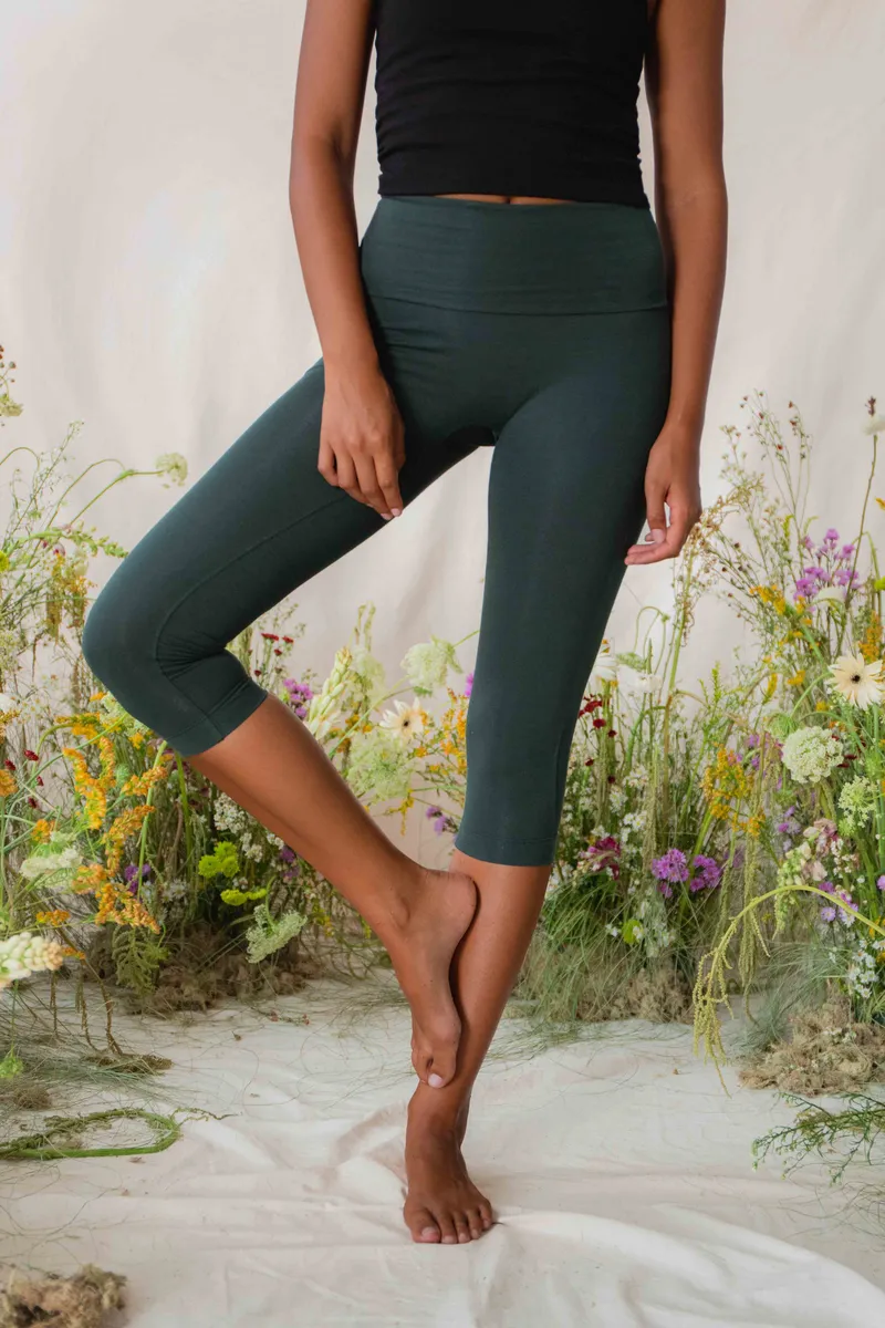 Eden Capri Evergreen 2