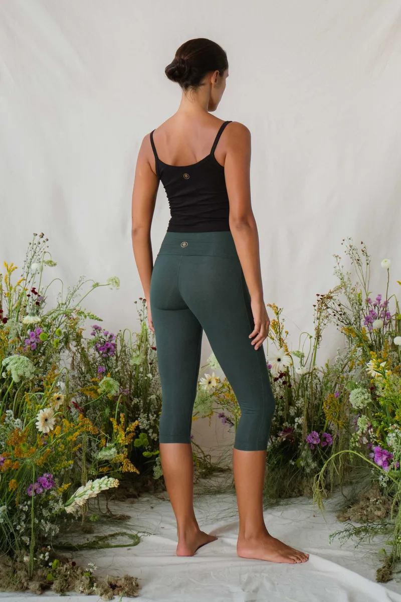 Eden Capri Evergreen 4
