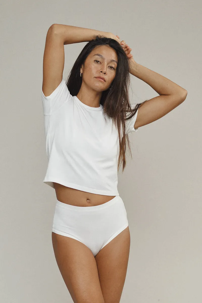 High Waist Brief 3