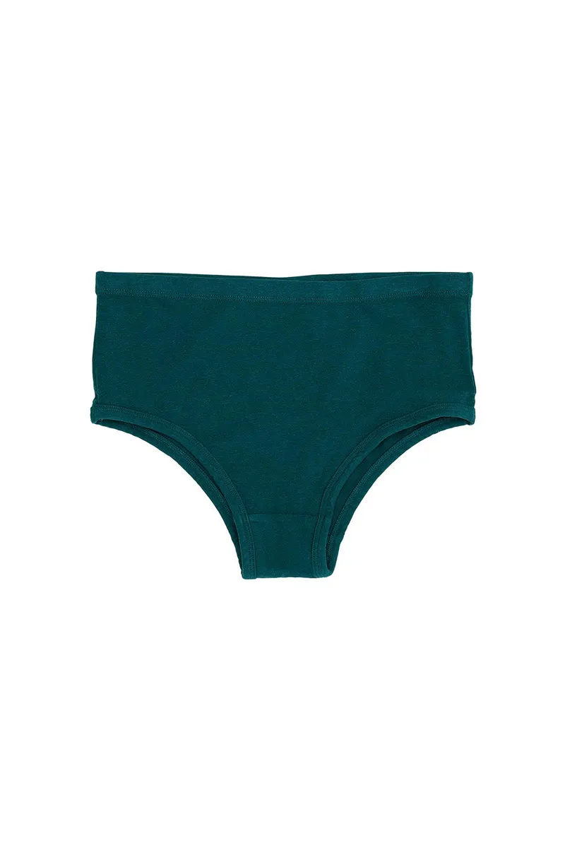 High Waist Brief 21
