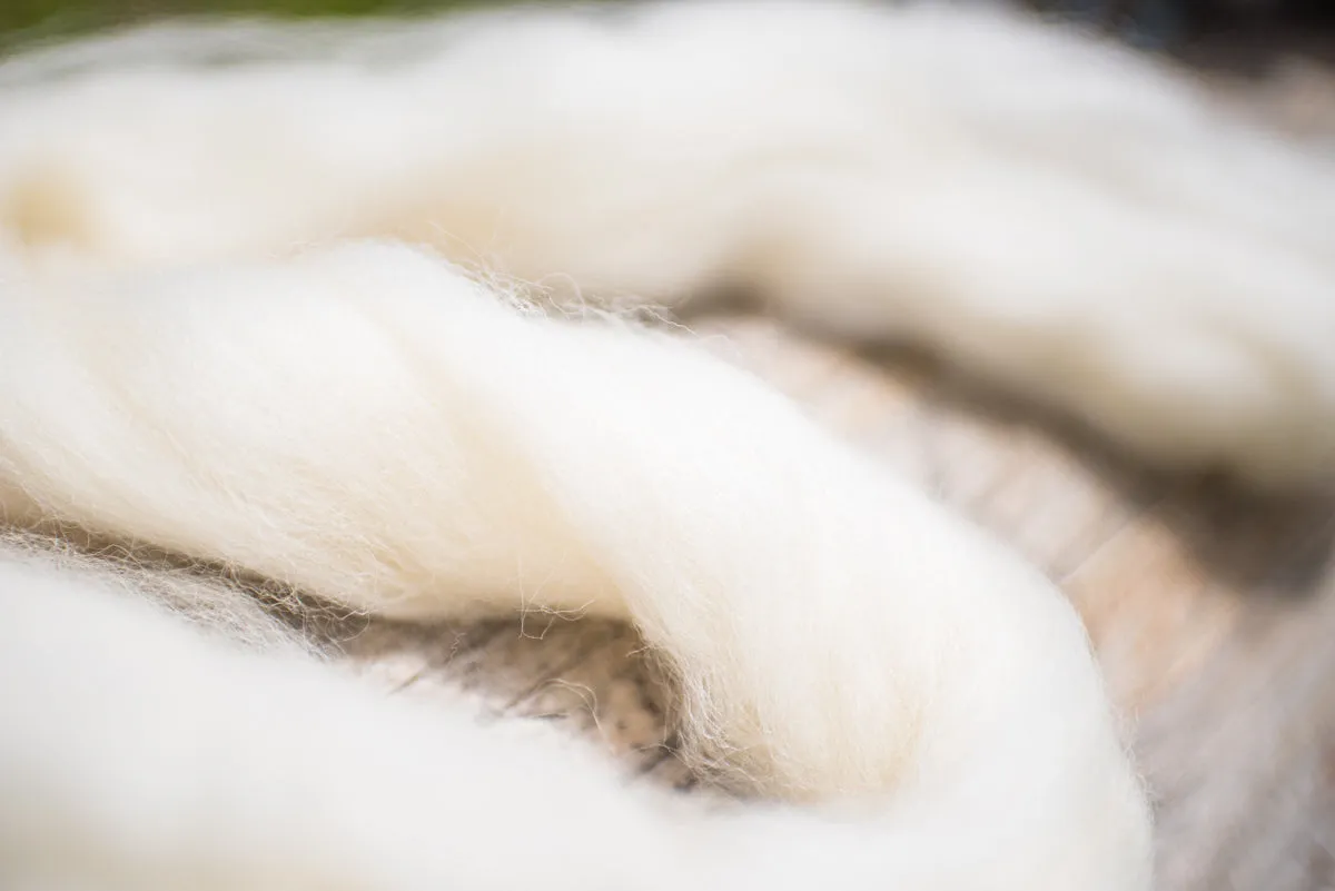 Blister Wool 8